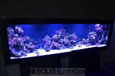 Morské akvárium 875L, rozmery 250x50x70cm, prerábka interiéru + filtrácie